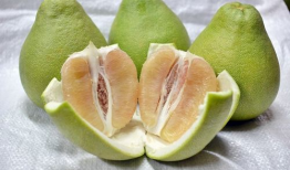 麻豆文旦,台湾特色水果的甜蜜诱惑